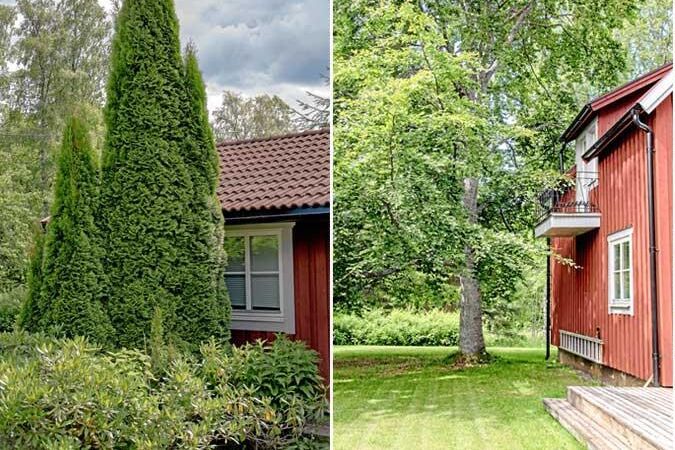 Röd trästuga med gröna träd och prydlig gräsmatta