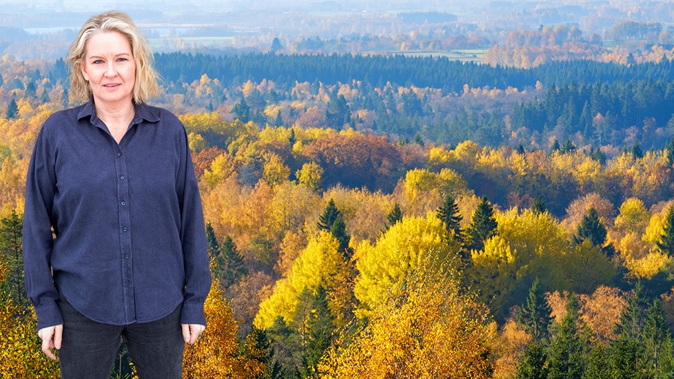 Om skogsägaren själv får bestämma