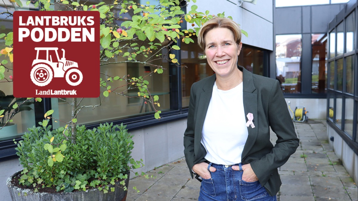 ”Betalningsviljan sjunker för svensk mat”