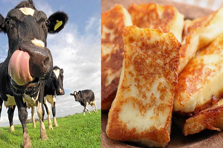 Det blev bu i stället för mu när Patent- och registreringsverket sa nej till koloumi, en svensk komjölksvariant av halloumi.
