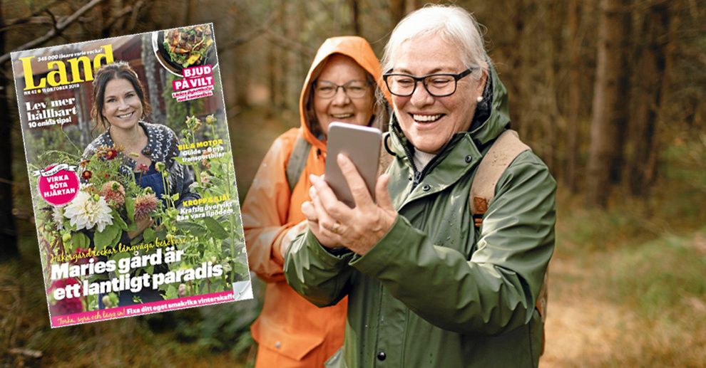Land ökar både digitalt och i print när den andra av tre årliga Orvestomätningar för 2019 nu presenterats.
