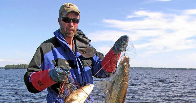 Sportfiskarnas biolog Lars Ljunggren visar upp ruttnande gösar från ett av de beslagtagna "spöknäten" i Storsjön i Gästrikland.