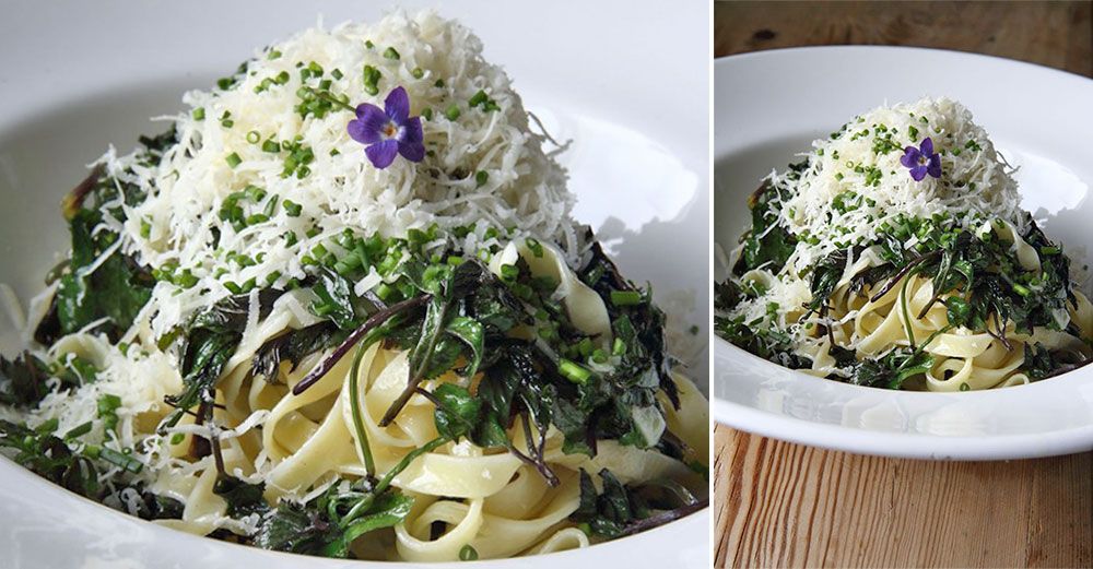 Tallrik med tagliatelle, kirskål och riven ost, dekorerad med liten lila blomma