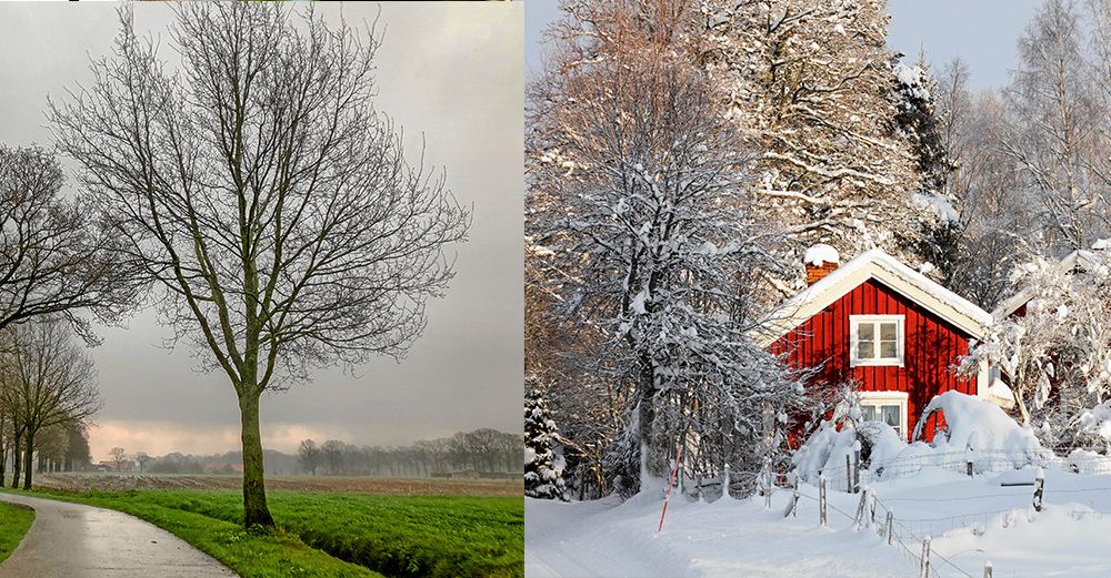 Det är barmark och milt i stora delar av landet just nu. Endast i västra delarna av Norrland kan man få njuta av snö.