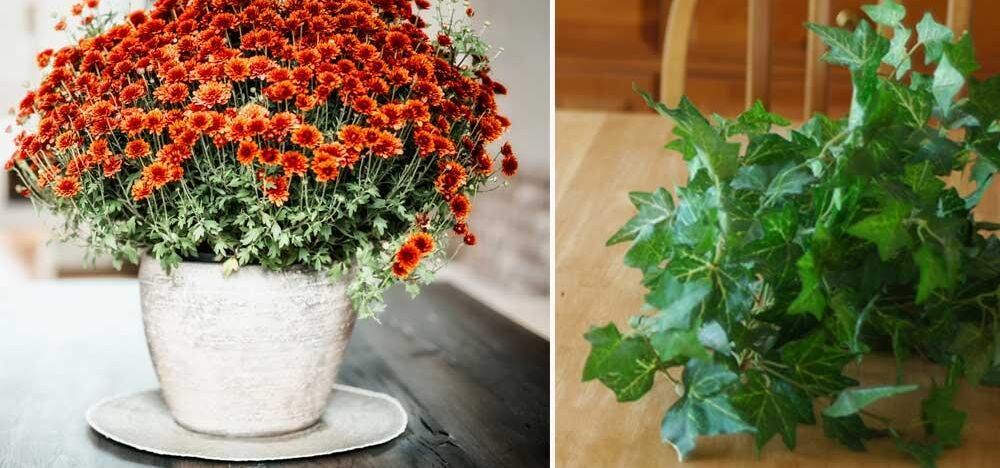 Foto: Istock/Mostphotos