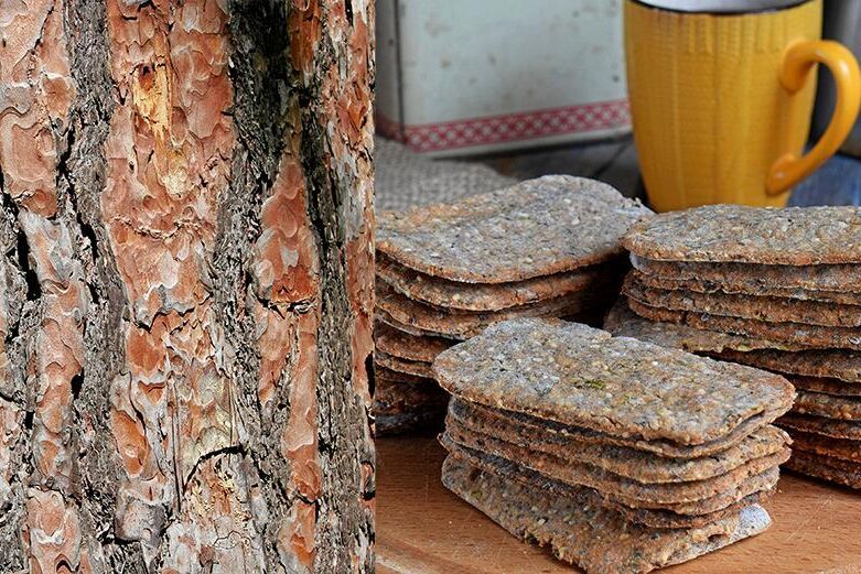 Barkbröd gör du av mjöl gjort av tallbark.