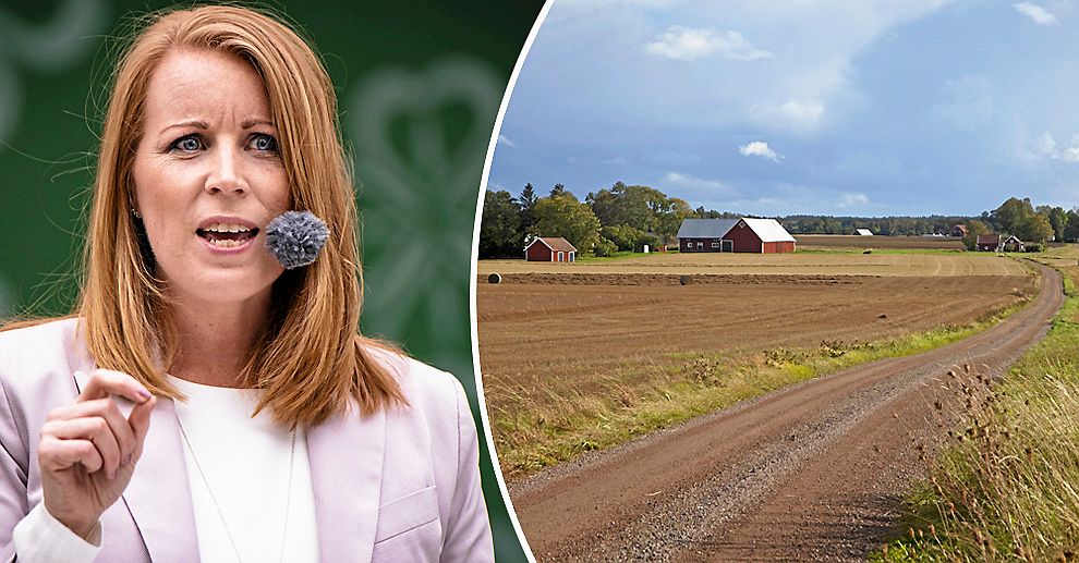 Centerpariets partiledare Annie Lööf gick på onsdagen ut med nyheten om skattesänkningen på Twitter.