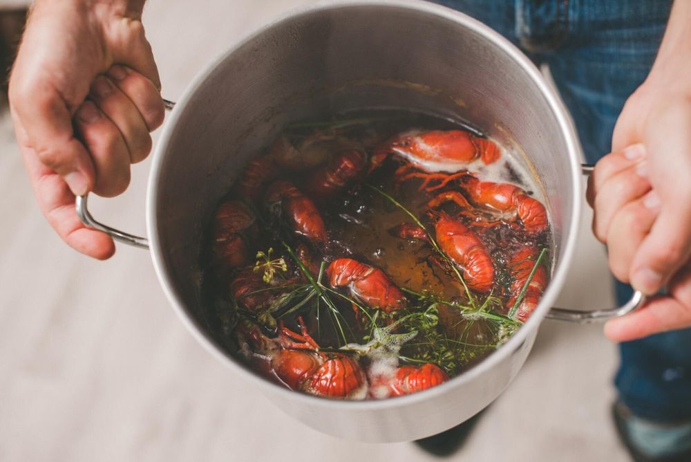 Har man turen att kunna få levande kräftor eller fiska dem själv behöver de kokas i ett gott spad för att verkligen komma till sin rätt. Foto: Istock