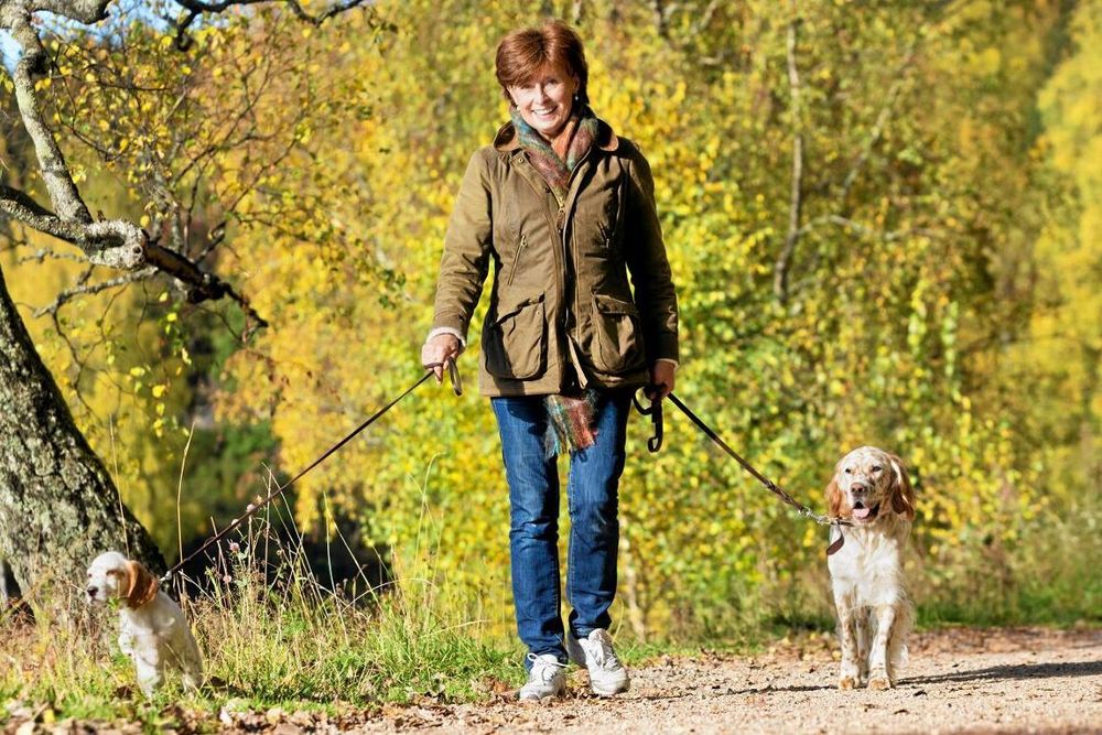 Promenera en halvtimme eller två kvartar om dagen så minskar du risken för att drabbas av allvarlig stroke.