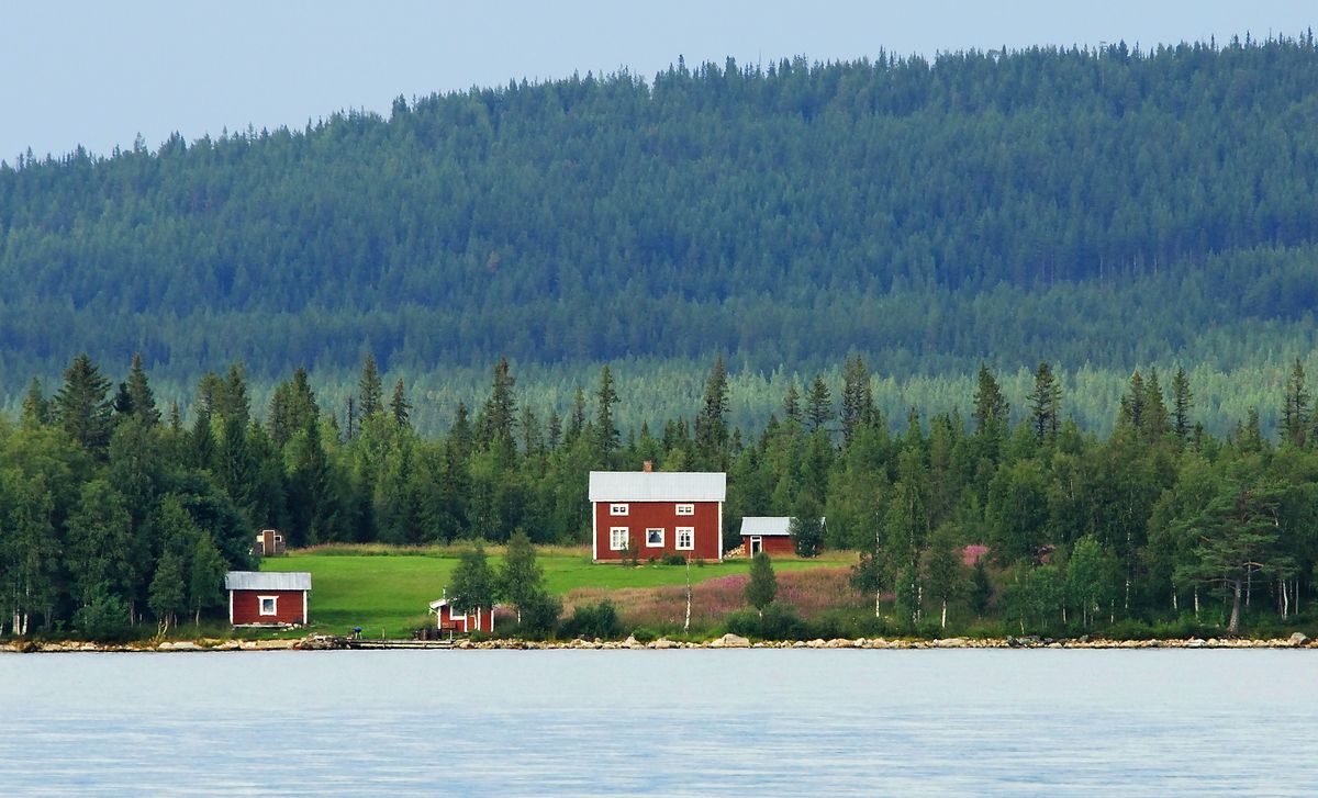 Lantlig gård med röda hus vid vattnet och tät barrskog bakom