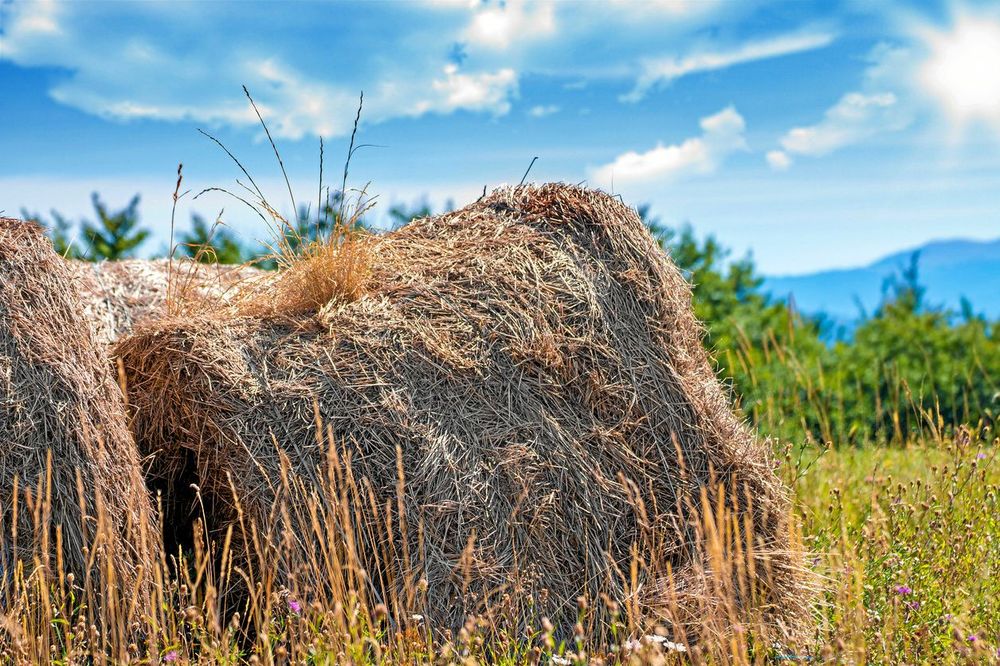 Gammal höbal eller ensilage-boll kan bli en resurs.