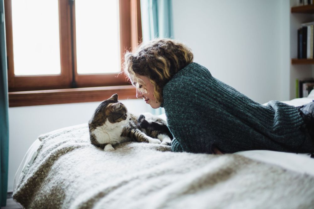 Känner du inte riktigt igen din katt? Den kan vara deprimerad.