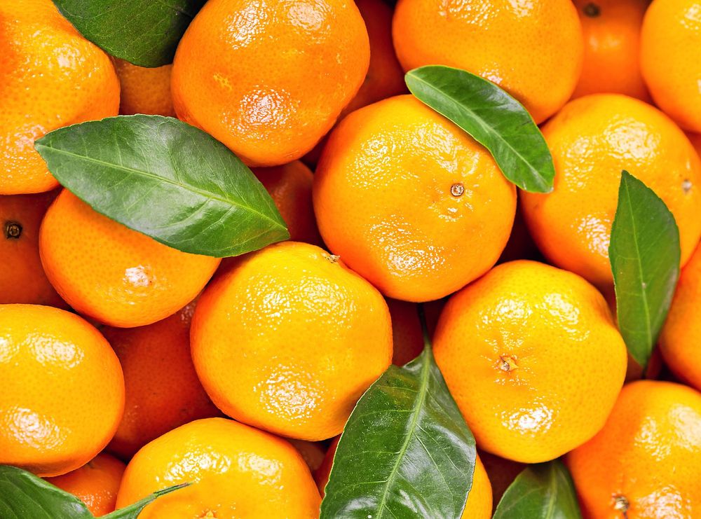 Så skiljer du på klementin, mandarin och satsumas Land