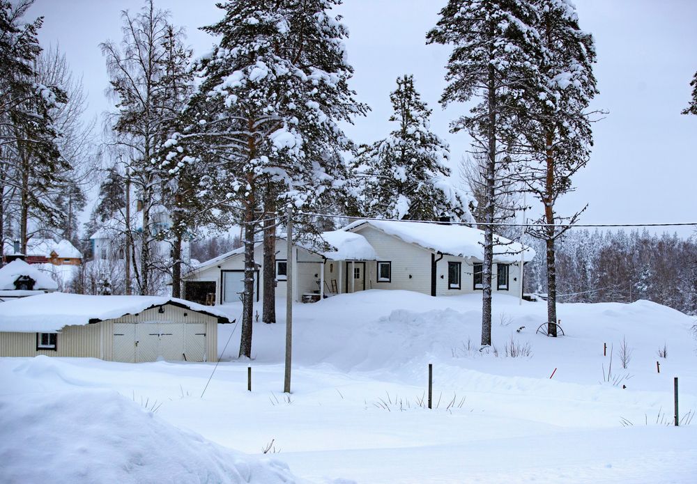 I dag har Krokträsk fått ett öppnare landskap. Detta tack vare omfattande röjningsarbete och naturliga gräsklippare i form av kor, hästar och får sommartid.