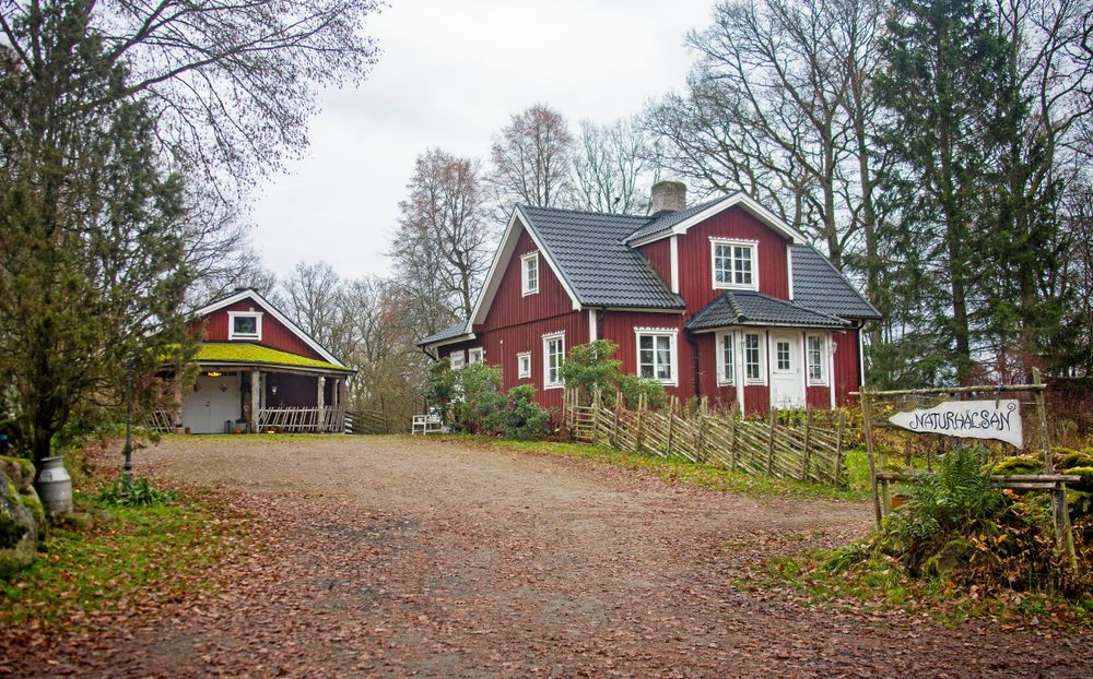 Anns hus som ligger granne med hennes föräldrahem i byn Gamlarp, i Glimåkra.
