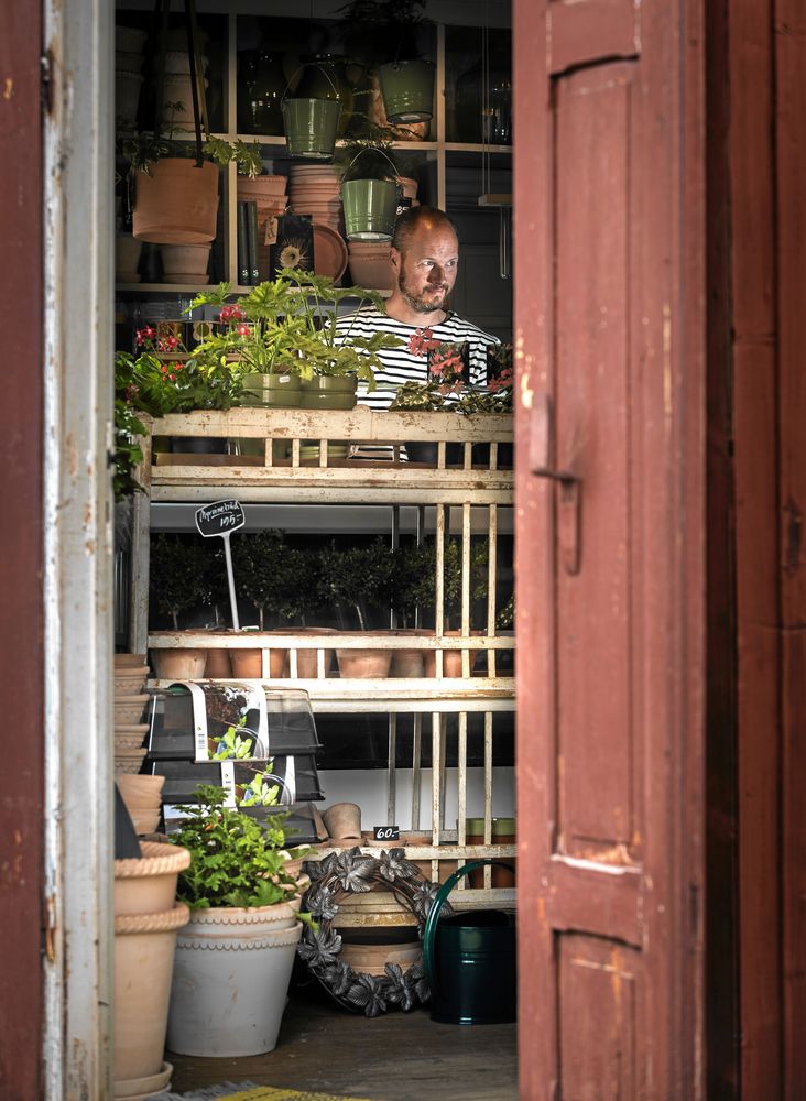 KULTURVÅRD. Interiören i trädgårdsbutiken är densamma som när lanthandeln byggdes, och ska så bevaras. Bakom disken står Andreas. Foto: Göran Thorén