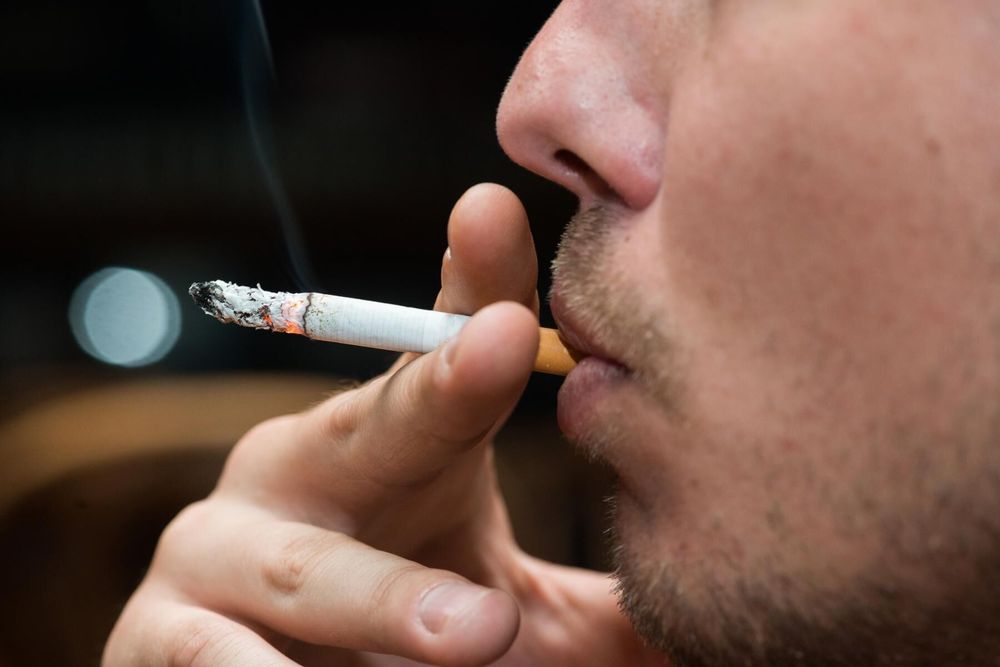 En ny studie vid Lunds universitet visar att pappors rökning kan vara skadlig för sönernas spermietillgång.