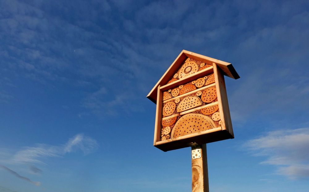 Wooden bee hotel (Insektenhotel) in front of a blue cloudy sky. The facility offers small organisms protection during the winter. Up view. Isolated on blue.