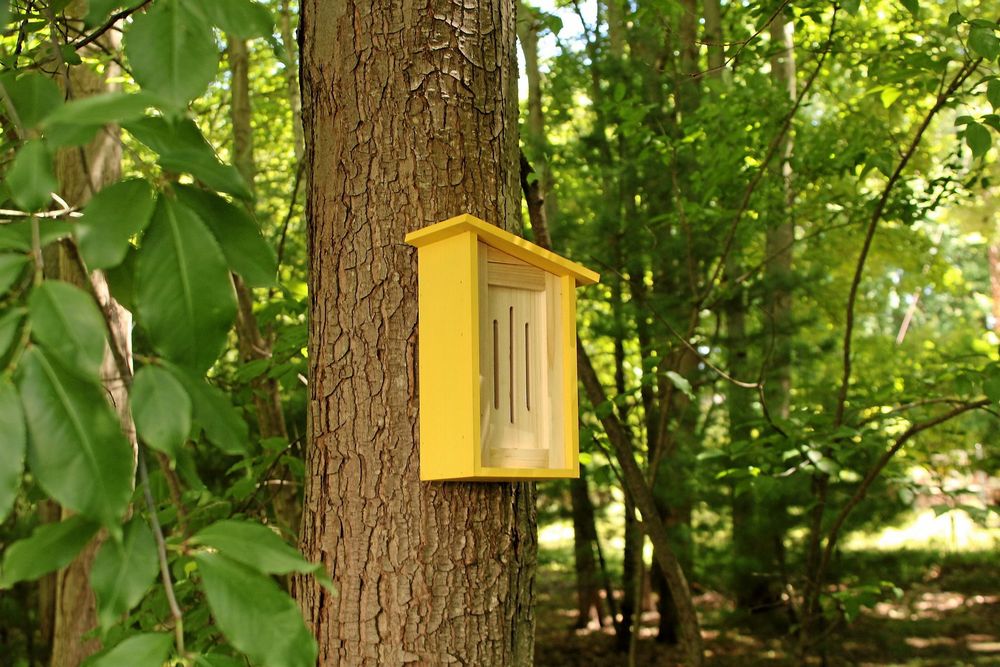 A yellow wooden butterfly house is seen hanging on a tree in the woods.