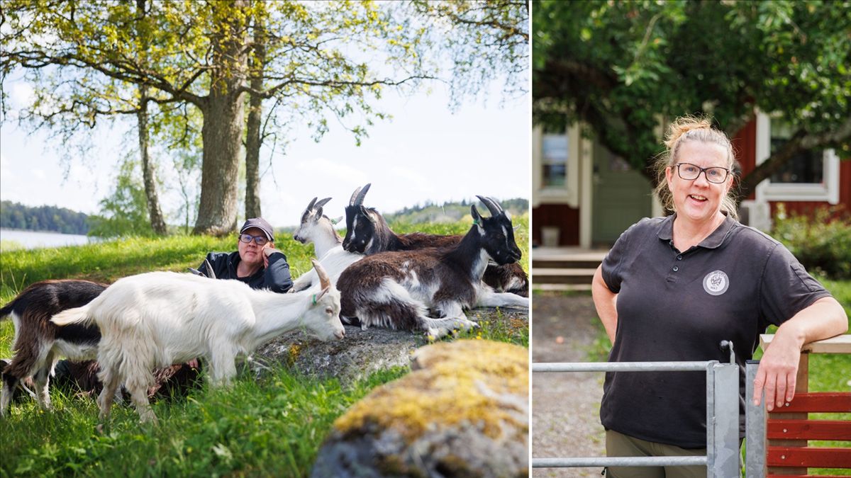 Anna i Huddinge: ”Det går utmärkt att kombinera villaliv och getter”