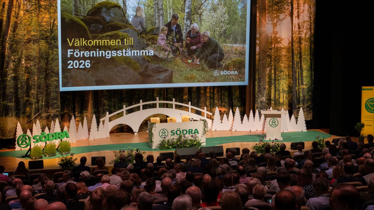 Dystra tongångar på Södras stämma