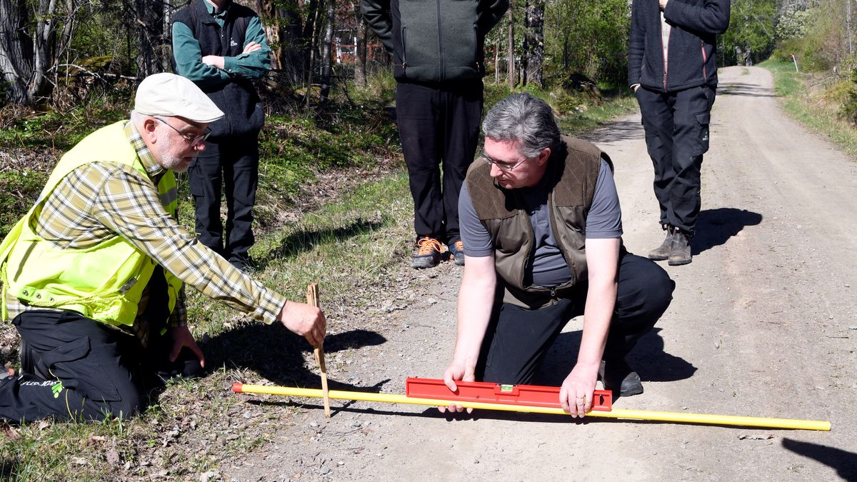 Rusta skogsbilvägen för ett ändrat klimat