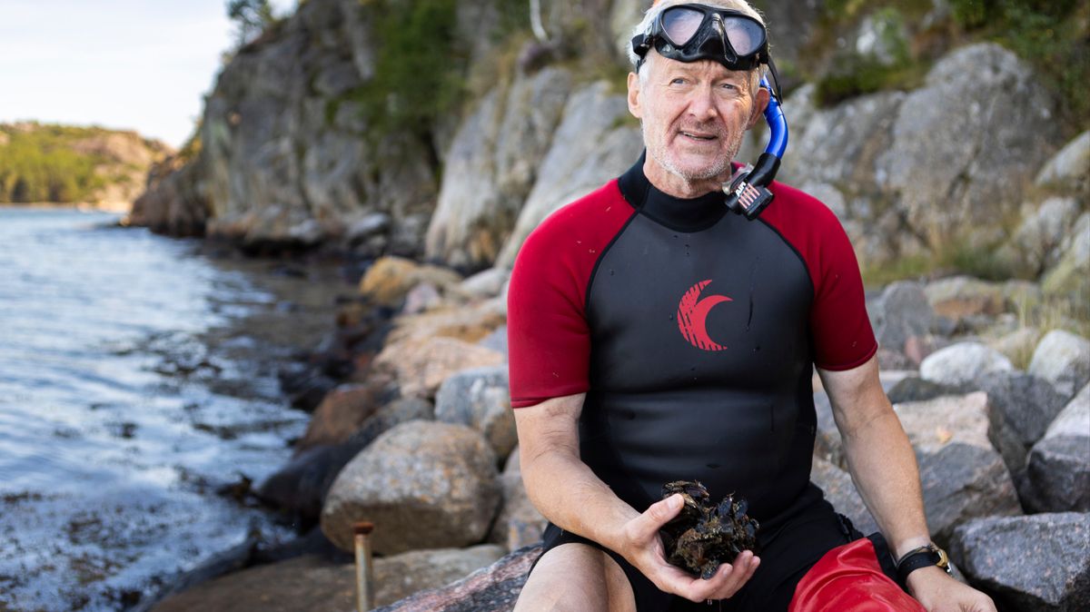 Niklas odlar framtidens mat i havet