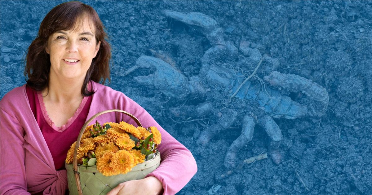 Мужчина делится находками из собственного сада: от старых бутылок до пластиковой скорпионы