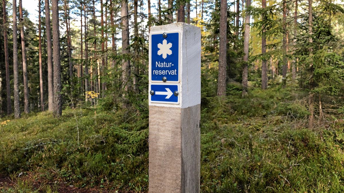 Staten stämde både säljare och köpare – förlorade i tingsrätten