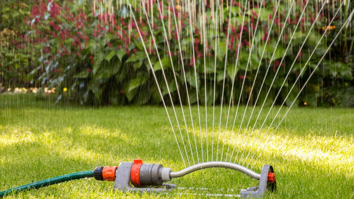 Så många liter vatten kan du spara varje dag – 5 enkla tips