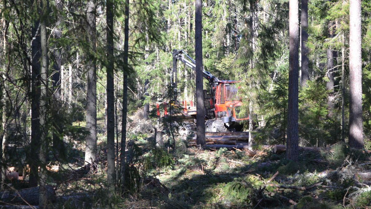 Plockhuggning är en tredje väg
