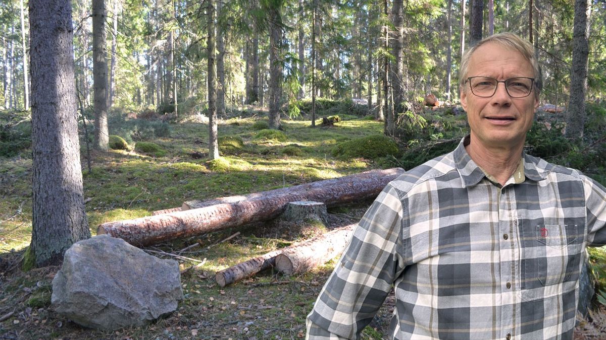 Att backa är ett steg framåt