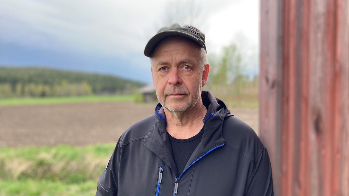 Dålig lönsamhet stoppar potatisodlare