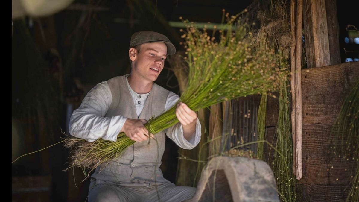 Gustav, 23, odlar sitt eget lin på släktgården