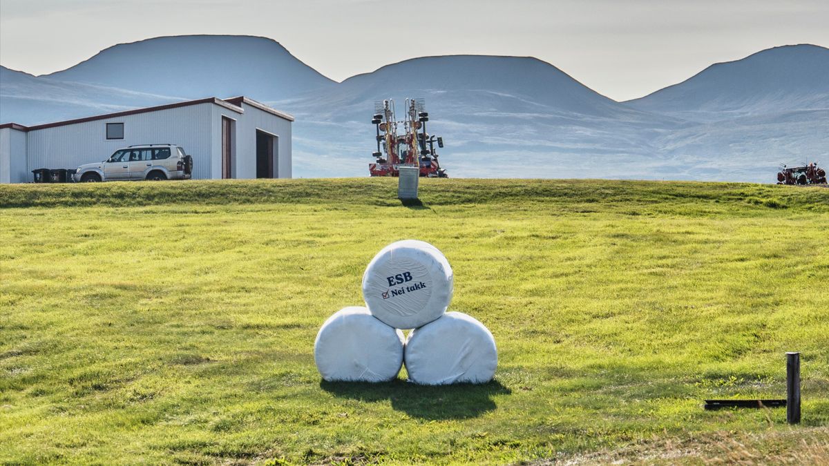Isländska landsbygden sa nej till EU