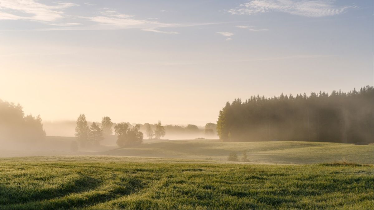 Lita på dem som brukar jorden och skogen