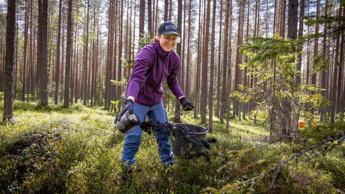 Billigare askåterföring med enklare metoder