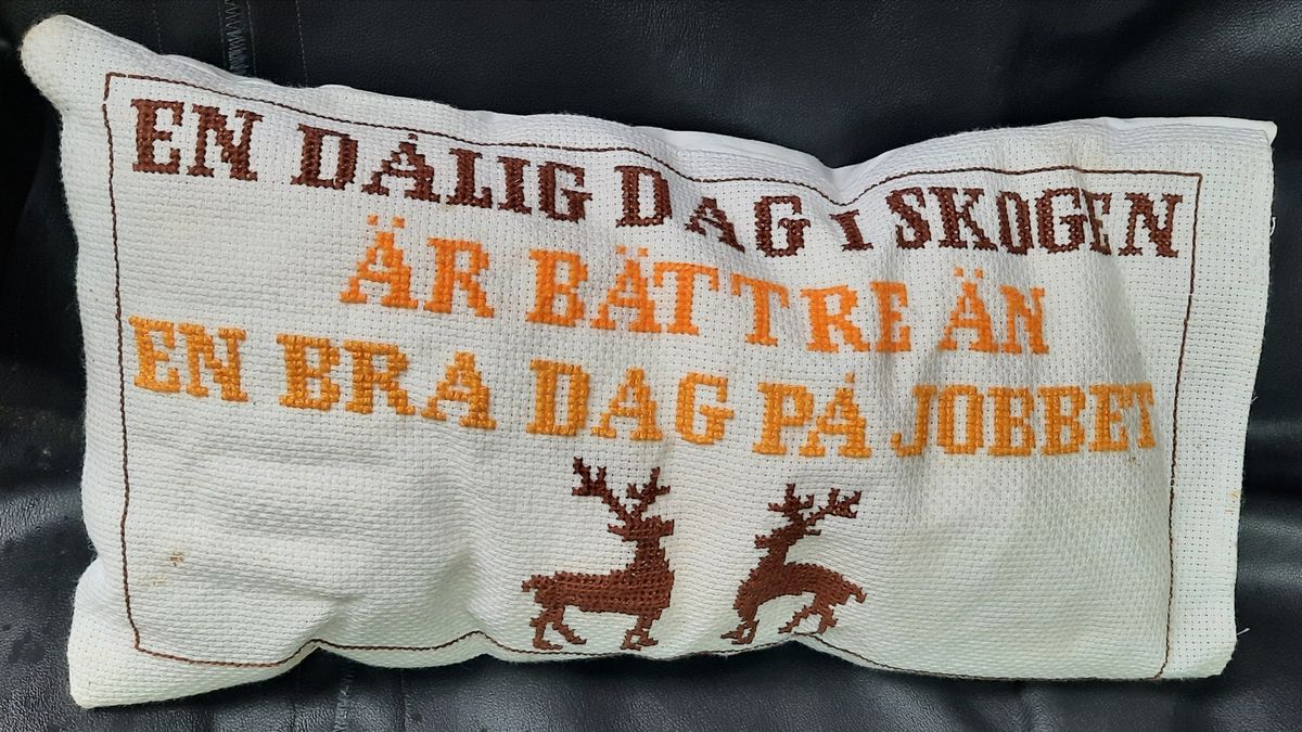 Kloka ord på väg(g)en – se läsarnas bonader