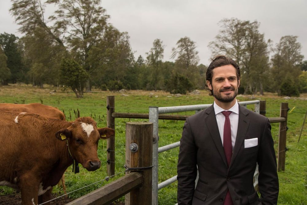 Prins Carl Philip tror att möjligheterna är goda för att öka den inhemska köttproduktionen.