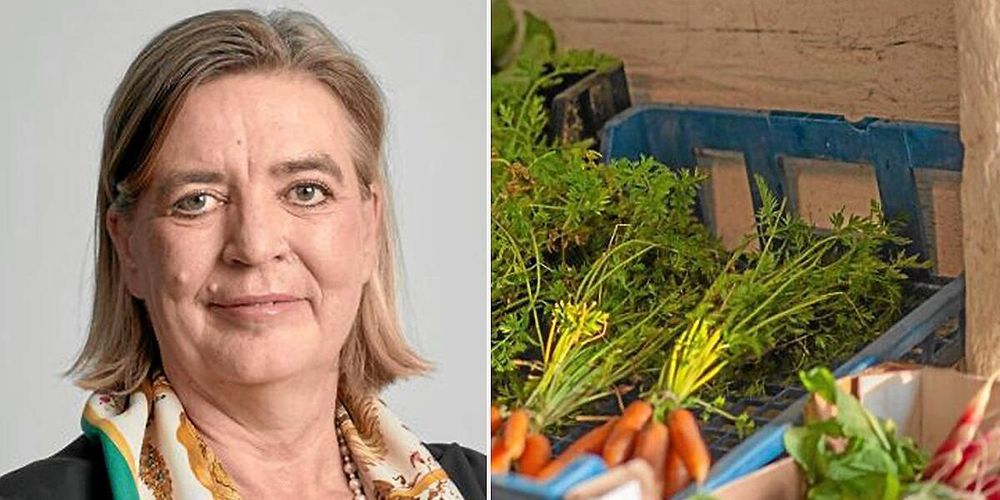 En del av pengarna från landsbygdsprogrammet har använts till att stödjaReko-ringar, som använder Facebookgrupper för att sälja livsmedel.