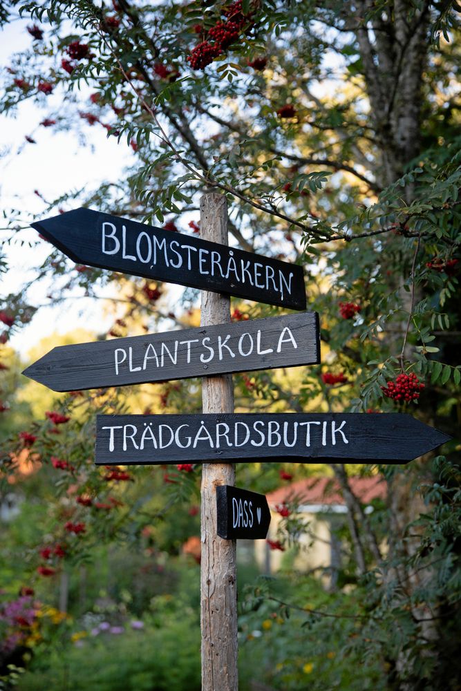 Handmålade skyltar visar besökarna rätt.