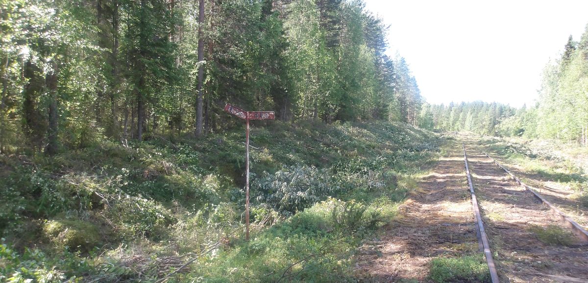 Nedlagd järnväg i skogsmiljö