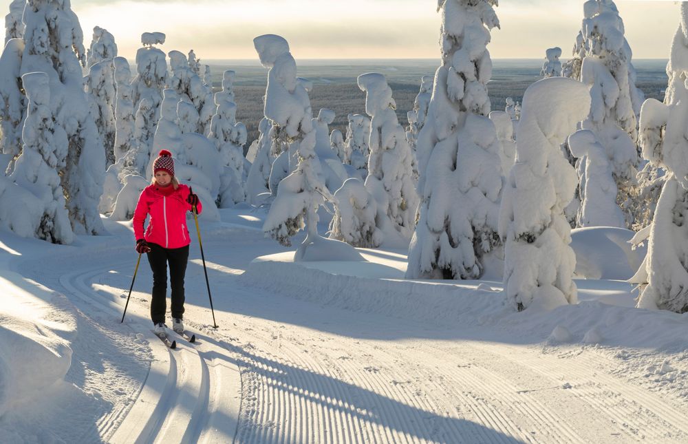 Frihet! Att få fara fram i skidspåret en klar vintermorgon är svårslaget. Så här fint är det väl inte alltid, men även konstsnö duger bra om man är riktigt sugen.