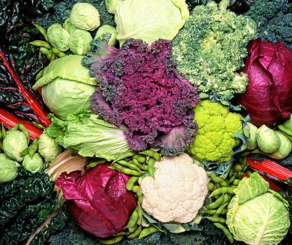 Ett urval av olika färgglada grönsaker, inklusive kål och broccoli.