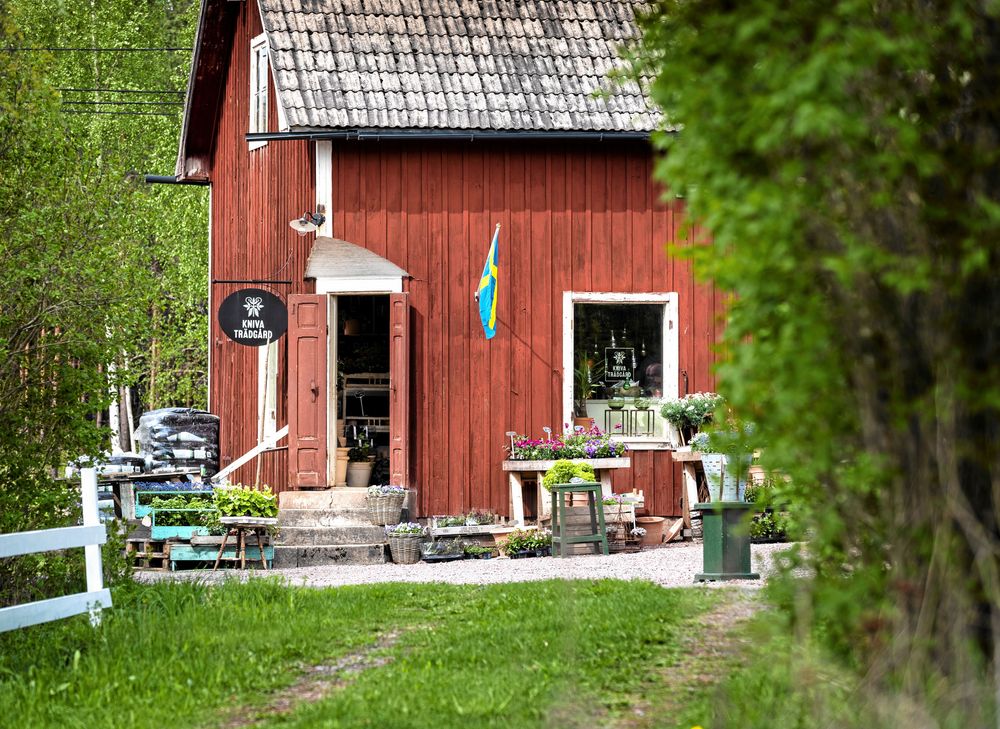ÖPPET! Den gamla lanthandeln i Kniva har fått nytt liv. Foto: Göran Thorén