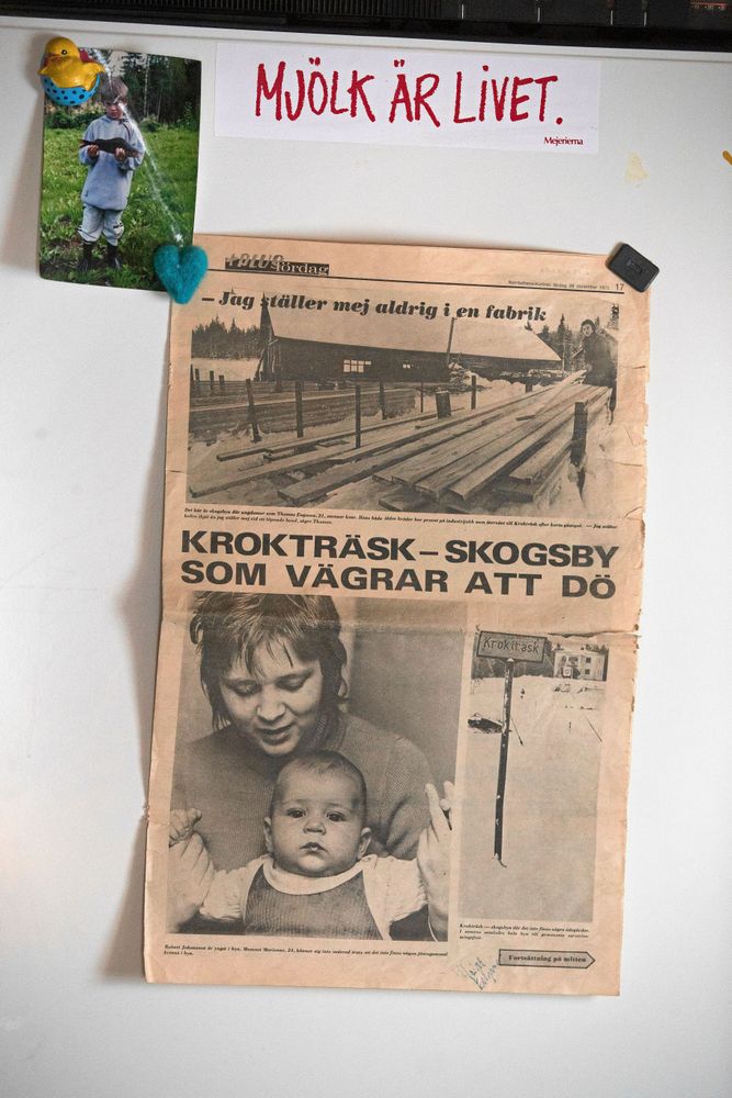 På kylskåpsdörren hänger ett urklipp från 1973 som handlar om Krokträsk som redan då vägrade att dö ut.