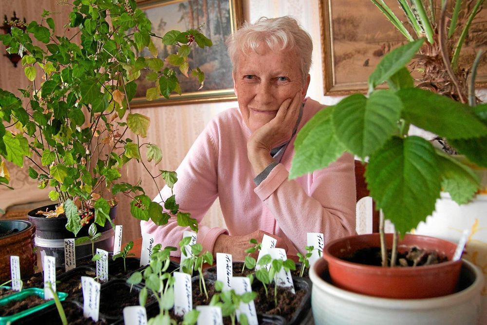 Marianne Eeks trädgård har visats i lands Öppen Trädgård sedan starten för 25 år sedan.