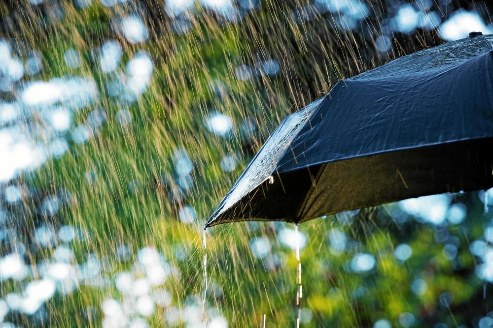 Svart paraply i kraftigt regn och grön bakgrund.