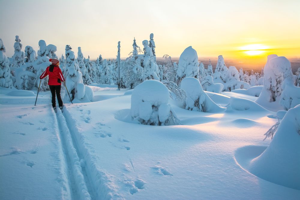 Vi hoppas att du ska finna några små hjälpmedel som ger en bra start på det nya året och kanske också ge en liten antydan om vad du hittar i tidningen Land.