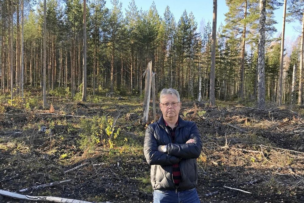 När Björn Hansols skulle avverka ett skogsskifte bedömdes det som nyckelbiotop. Efter att ha stångats mot Skogsstyrelsen i snart ett år har Björn Hansols valt att acceptera ett bud för inlösen.